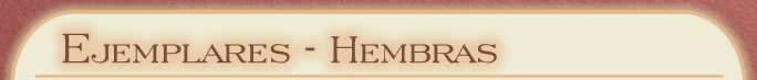 Ejemplares